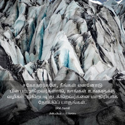 Picture 03 - பிலிப்பியர் 3:17 TAMIRV - சகோதரர்களே, - Bible Verse Picture