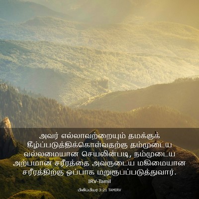 Picture 03 - பிலிப்பியர் 3:21 TAMIRV - அவர் - Bible Verse Picture