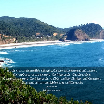 Picture 03 - பிலிப்பியர் 3:5 TAMIRV - நான் - Bible Verse Picture