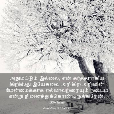 Picture 03 - பிலிப்பியர் 3:8 TAMIRV - அதுமட்டும் இல்லை, - Bible Verse Picture
