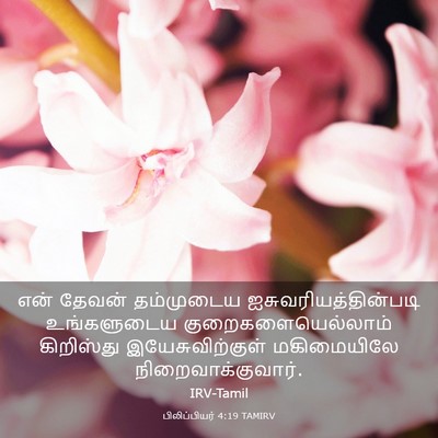 Picture 03 - பிலிப்பியர் 4:19 TAMIRV - என் தேவன் - Bible Verse Picture