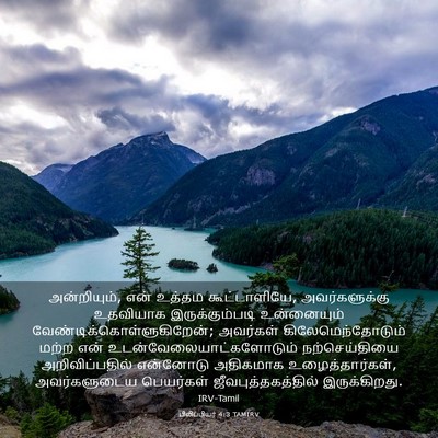 Picture 03 - பிலிப்பியர் 4:3 TAMIRV - அன்றியும், என் - Bible Verse Picture