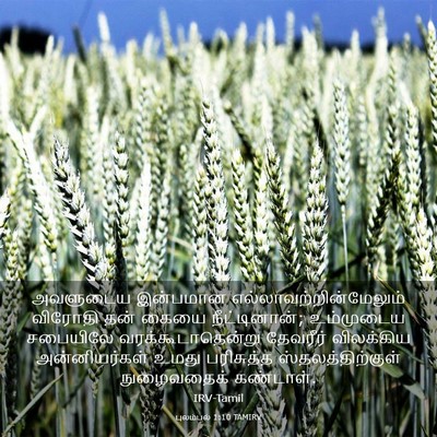 Picture 03 - புலம்பல் 1:10 TAMIRV - அவளுடைய இன்பமான - Bible Verse Picture