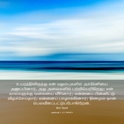 Picture 03 - புலம்பல் 1:13 TAMIRV - உயரத்திலிருந்து - Bible Verse Picture
