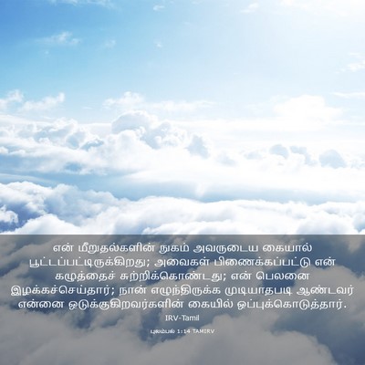 Picture 03 - புலம்பல் 1:14 TAMIRV - என் மீறுதல்களின் - Bible Verse Picture