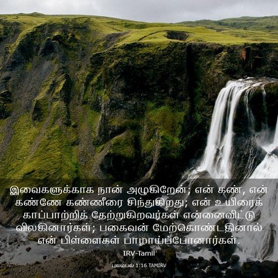 Picture 03 - புலம்பல் 1:16 TAMIRV - இவைகளுக்காக நான் - Bible Verse Picture