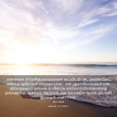 Picture 03 - புலம்பல் 1:19 TAMIRV - என்னைச் - Bible Verse Picture