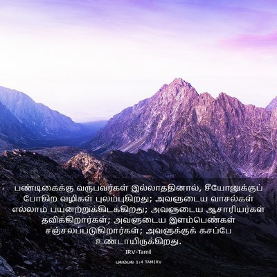 Picture 03 - புலம்பல் 1:4 TAMIRV - பண்டிகைக்கு - Bible Verse Picture