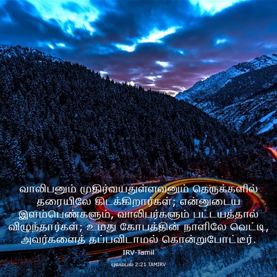 Picture 03 - புலம்பல் 2:21 TAMIRV - வாலிபனும் - Bible Verse Picture