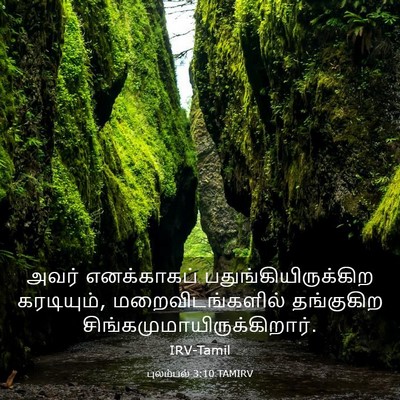 Picture 03 - புலம்பல் 3:10 TAMIRV - அவர் எனக்காகப் - Bible Verse Picture