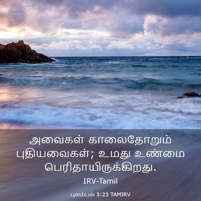 Picture 03 - புலம்பல் 3:23 TAMIRV - அவைகள் காலைதோறும் - Bible Verse Picture