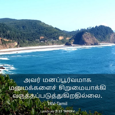 Picture 03 - புலம்பல் 3:33 TAMIRV - அவர் மனப்பூர்வமாக - Bible Verse Picture
