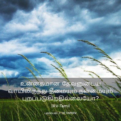 Picture 03 - புலம்பல் 3:38 TAMIRV - உன்னதமான தேவனுடைய - Bible Verse Picture