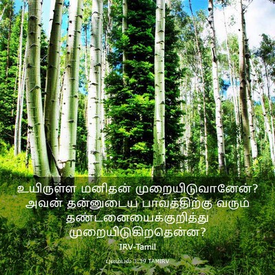 Picture 03 - புலம்பல் 3:39 TAMIRV - உயிருள்ள மனிதன் - Bible Verse Picture