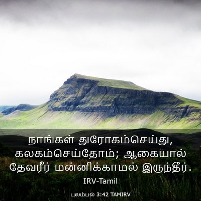Picture 03 - புலம்பல் 3:42 TAMIRV - நாங்கள் - Bible Verse Picture