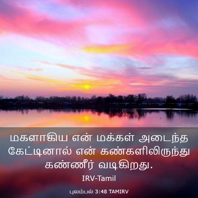 Picture 03 - புலம்பல் 3:48 TAMIRV - மகளாகிய என் - Bible Verse Picture