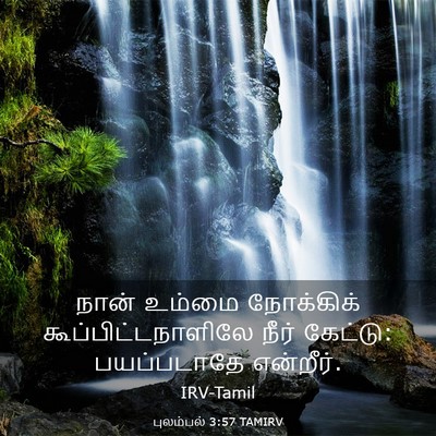 Picture 03 - புலம்பல் 3:57 TAMIRV - நான் உம்மை - Bible Verse Picture