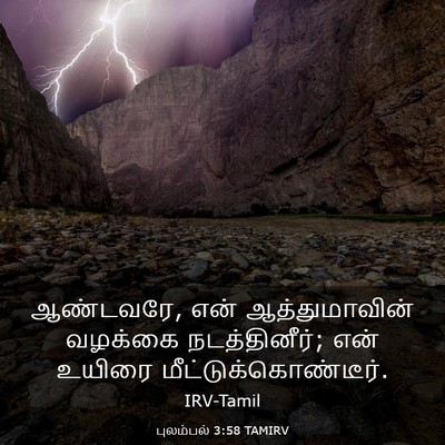 Picture 03 - புலம்பல் 3:58 TAMIRV - ஆண்டவரே, என் - Bible Verse Picture