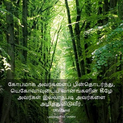 Picture 03 - புலம்பல் 3:66 TAMIRV - கோபமாக அவர்களைப் - Bible Verse Picture