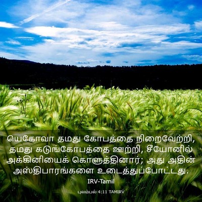 Picture 03 - புலம்பல் 4:11 TAMIRV - யெகோவா தமது - Bible Verse Picture