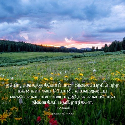 Picture 03 - புலம்பல் 4:2 TAMIRV - ஐயோ, - Bible Verse Picture