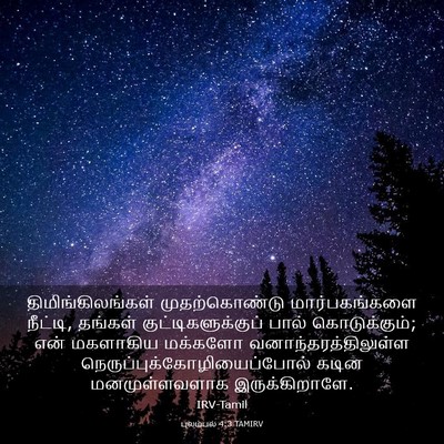 Picture 03 - புலம்பல் 4:3 TAMIRV - திமிங்கிலங்கள் - Bible Verse Picture