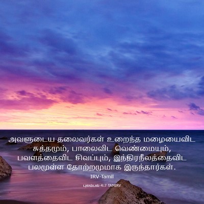 Picture 03 - புலம்பல் 4:7 TAMIRV - அவளுடைய தலைவர்கள் - Bible Verse Picture