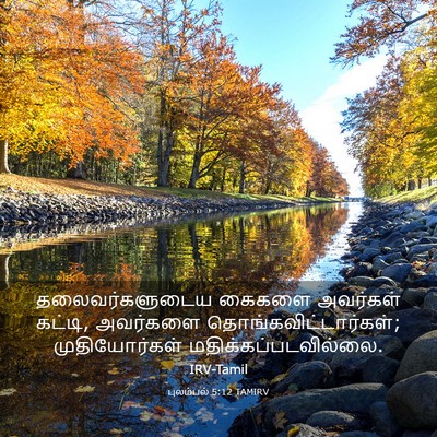 Picture 03 - புலம்பல் 5:12 TAMIRV - தலைவர்களுடைய - Bible Verse Picture