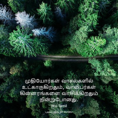 Picture 03 - புலம்பல் 5:14 TAMIRV - முதியோர்கள் - Bible Verse Picture