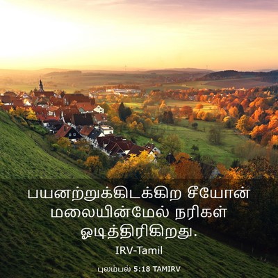 Picture 03 - புலம்பல் 5:18 TAMIRV -  - Bible Verse Picture
