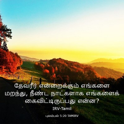 Picture 03 - புலம்பல் 5:20 TAMIRV - தேவரீர் - Bible Verse Picture