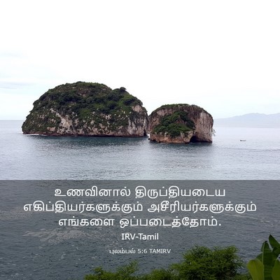Picture 03 - புலம்பல் 5:6 TAMIRV - உணவினால் - Bible Verse Picture