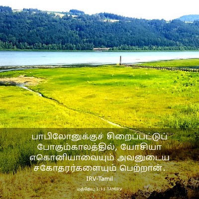Picture 03 - மத்தேயு 1:11 TAMIRV - பாபிலோனுக்குச் - Bible Verse Picture