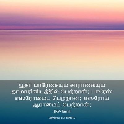 Picture 03 - மத்தேயு 1:3 TAMIRV - யூதா பாரேசையும் - Bible Verse Picture