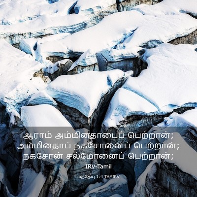 Picture 03 - மத்தேயு 1:4 TAMIRV - ஆராம் - Bible Verse Picture