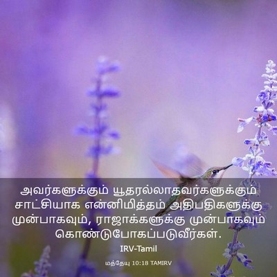 Picture 03 - மத்தேயு 10:18 TAMIRV - அவர்களுக்கும் - Bible Verse Picture