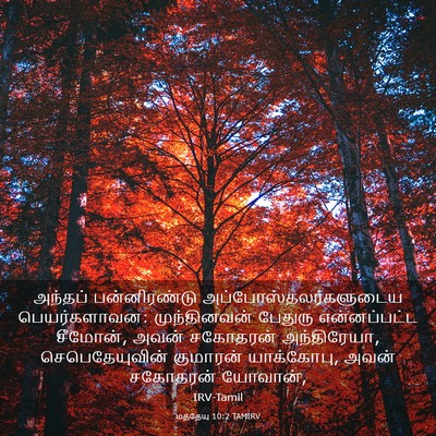 Picture 03 - மத்தேயு 10:2 TAMIRV - அந்தப் பன்னிரண்டு - Bible Verse Picture
