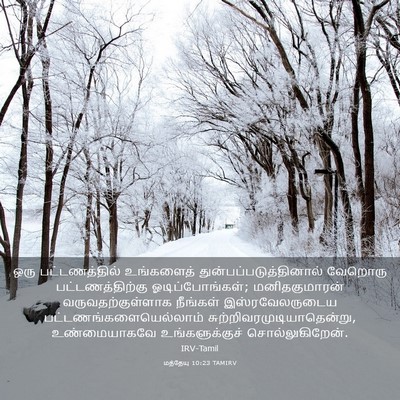 Picture 03 - மத்தேயு 10:23 TAMIRV - ஒரு பட்டணத்தில் - Bible Verse Picture