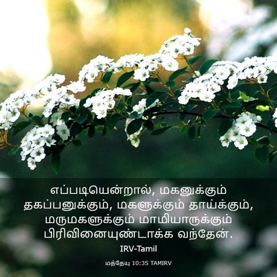 Picture 03 - மத்தேயு 10:35 TAMIRV - எப்படியென்றால், - Bible Verse Picture
