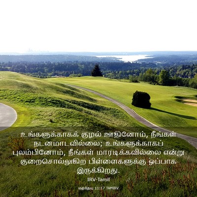 Picture 03 - மத்தேயு 11:17 TAMIRV - உங்களுக்காகக் - Bible Verse Picture