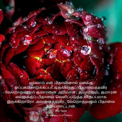 Picture 03 - மத்தேயு 11:27 TAMIRV - எல்லாம் என் - Bible Verse Picture