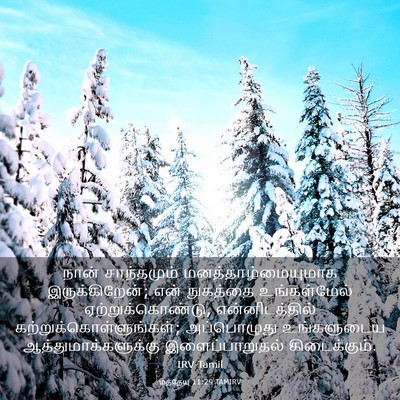 Picture 03 - மத்தேயு 11:29 TAMIRV - நான் சாந்தமும் - Bible Verse Picture