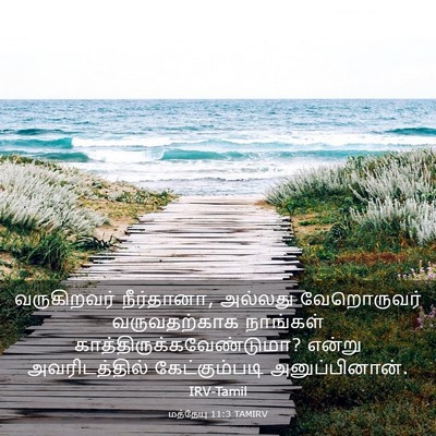 Picture 03 - மத்தேயு 11:3 TAMIRV - வருகிறவர் - Bible Verse Picture