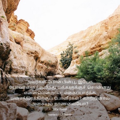 Picture 03 - மத்தேயு 11:7 TAMIRV - அவர்கள் - Bible Verse Picture