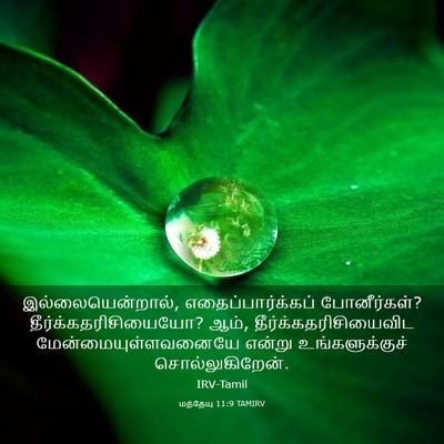 Picture 03 - மத்தேயு 11:9 TAMIRV - இல்லையென்றால், - Bible Verse Picture