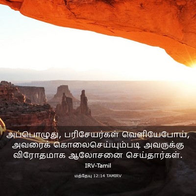 Picture 03 - மத்தேயு 12:14 TAMIRV - அப்பொழுது, - Bible Verse Picture