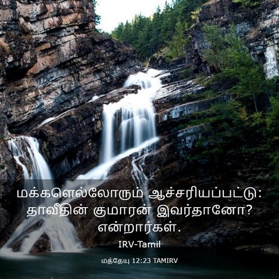 Picture 03 - மத்தேயு 12:23 TAMIRV - மக்களெல்லோரும் - Bible Verse Picture