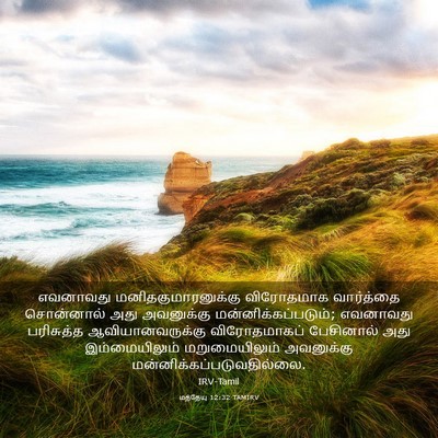 Picture 03 - மத்தேயு 12:32 TAMIRV - எவனாவது - Bible Verse Picture