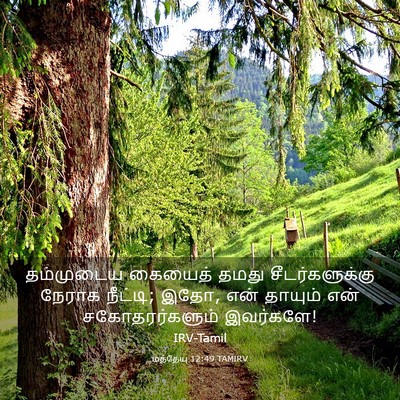 Picture 03 - மத்தேயு 12:49 TAMIRV - தம்முடைய கையைத் - Bible Verse Picture