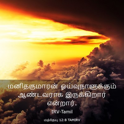 Picture 03 - மத்தேயு 12:8 TAMIRV - மனிதகுமாரன் - Bible Verse Picture